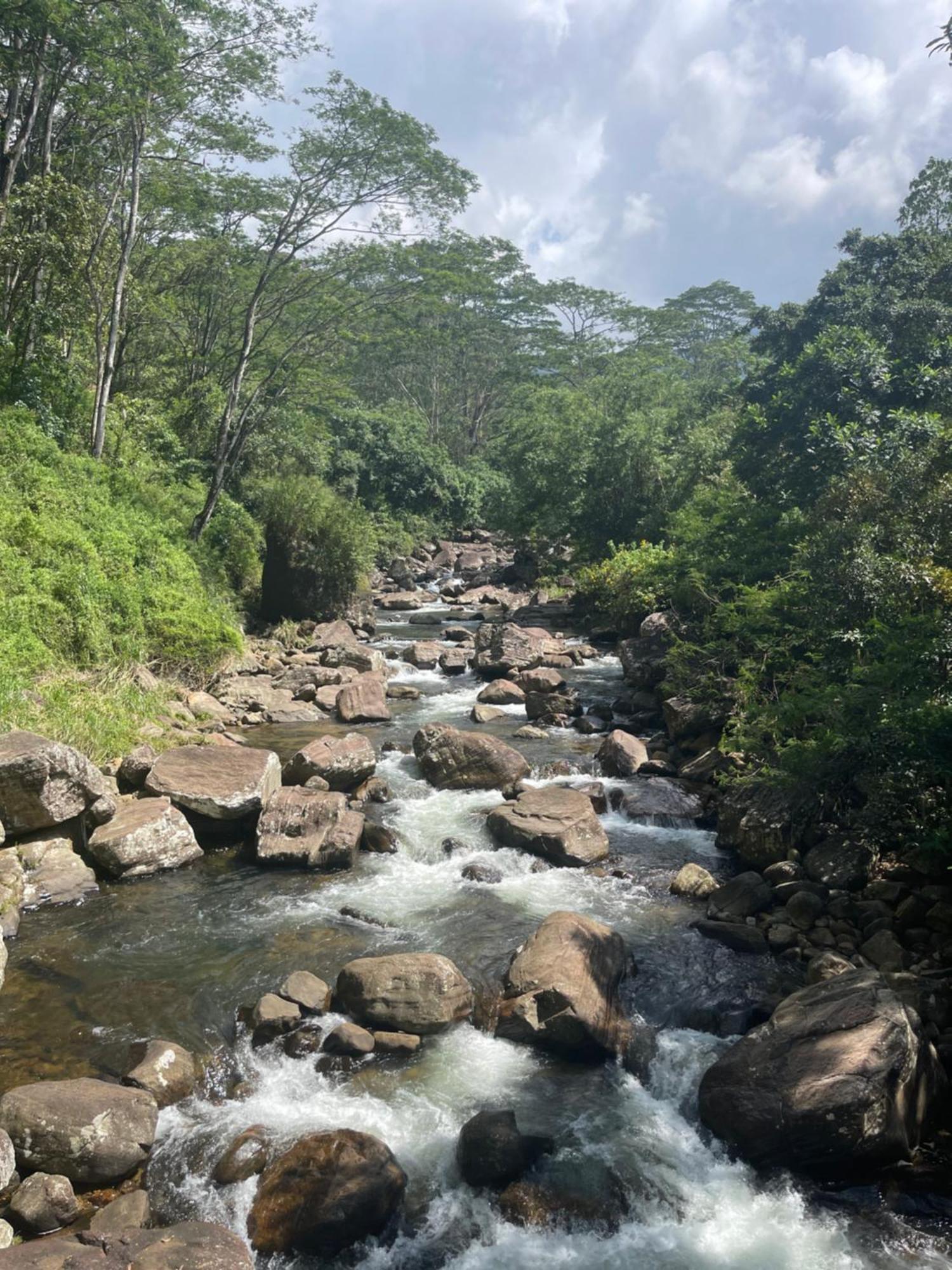 Eagles Lodge - Kandy Дигана Экстерьер фото