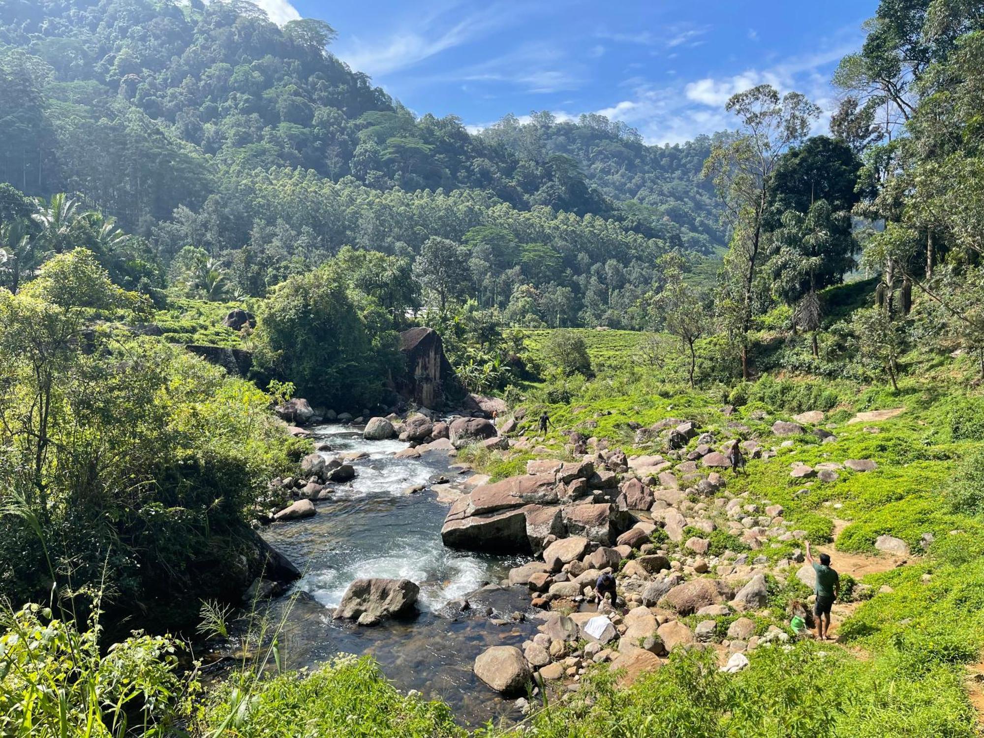 Eagles Lodge - Kandy Дигана Экстерьер фото